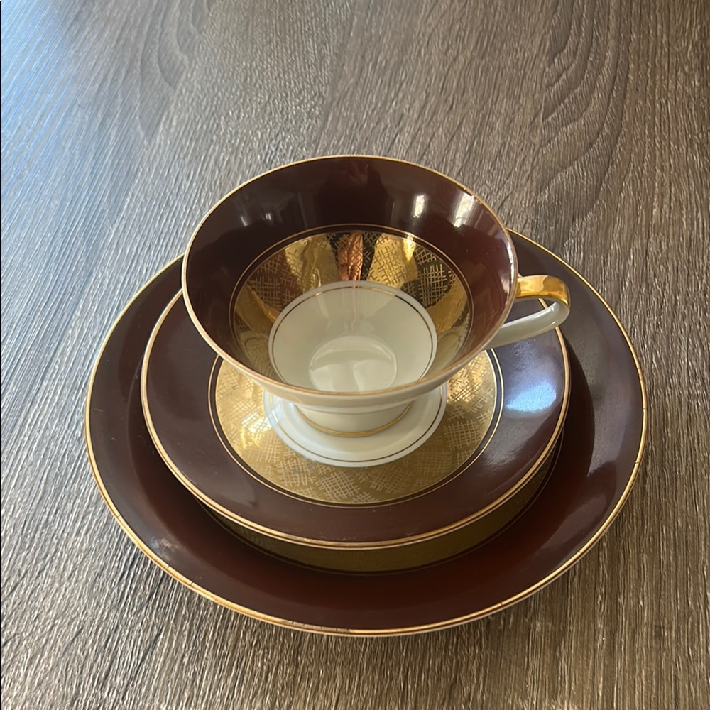 Bavaria Germany is Elegant Brown and Gold 3 pc Tea Dinnerware Set